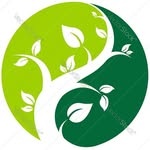 herbalremedies66 profile picture