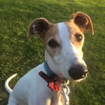 herbie.318 profile picture
