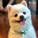 herb___salt profile picture