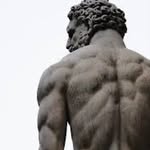 hercilles profile picture