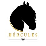 herculescaballofrison profile picture