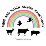 herdandflockanimalsanctuary profile picture