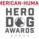 herodogawards profile picture