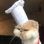 heyseymour profile picture