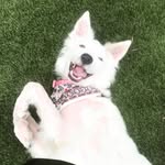 hey_there_delilah2020 profile picture