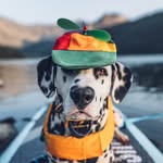 hi.wiley profile picture