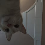 hibanaaz_02 profile picture