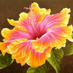 hibiskisss profile picture