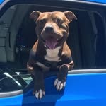 hickorysworld profile picture