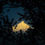 hidden__diamond_ profile picture