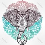 high.vibrational profile picture