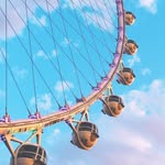 highrollervegas profile picture