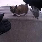 highwaykitty profile picture