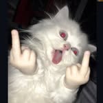 hii_iniiya profile picture