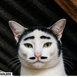 hiilll_05 profile picture