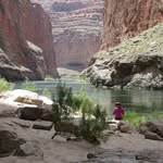hikingdiva profile picture