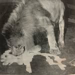 hilary.b.ives profile picture