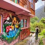 himalayanbro_ profile picture