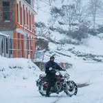 himalayan_snowrider profile picture