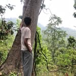 himal_paudel7 profile picture