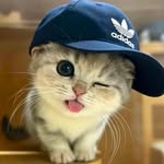 himanshu.lohiya_967 profile picture