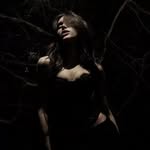 hin.dmg profile picture
