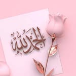 hina.mahreen profile picture