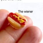 hipster_hotdog profile picture