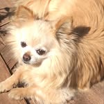 hirokyudou profile picture