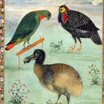 historycoolkids profile picture