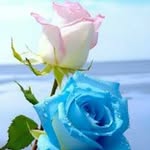 hiteshshah5102 profile picture