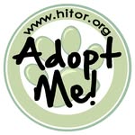 hitorshelter profile picture