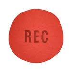 hitrecord profile picture