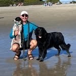 hog105 profile picture
