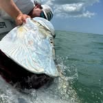 hoghandlerzsportfishing profile picture