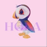 holapuffin profile picture