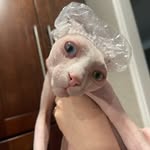holderlisahampton profile picture