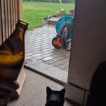 holgerbepunkt profile picture