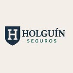 holguin_seguros profile picture