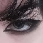 holland_vvv profile picture