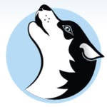 hollywood_huskies profile picture