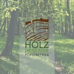 holz_hesener profile picture