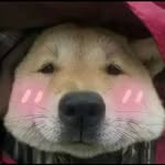 homedecorandsanatisingmatters profile picture