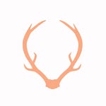 homento_store profile picture