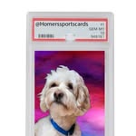 homerssportscards profile picture