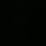 homic_ profile picture