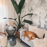 honeydressingdeco profile picture