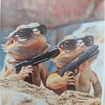 honeymabaem_gecko profile picture