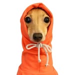 honeytheiggy profile picture