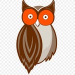 hootersgoldcoast profile picture
